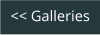 << Galleries